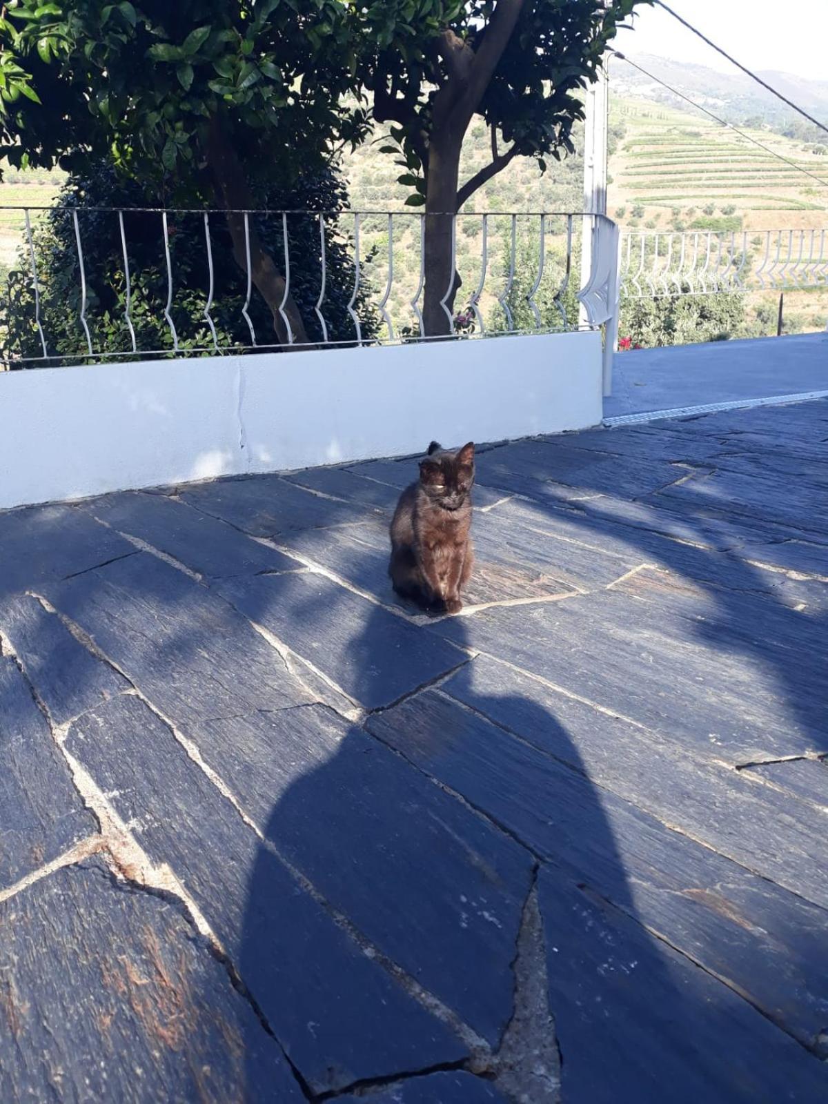 Casa Das Laranjeiras 핀하오 외부 사진